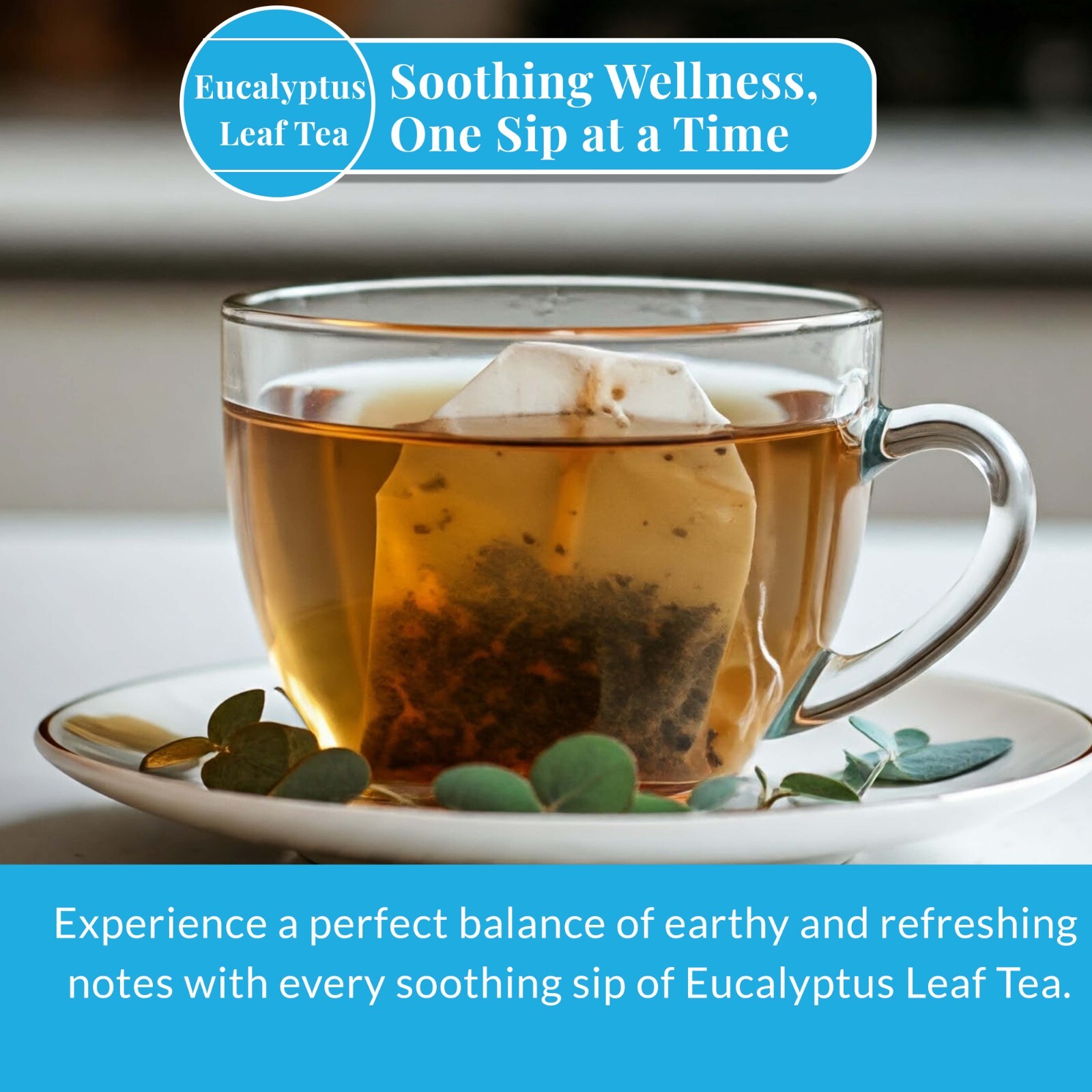 Organic Eucalyptus Tea 75 Tea Bags, Te de Hojas de Eucalipto, Herbal Tea