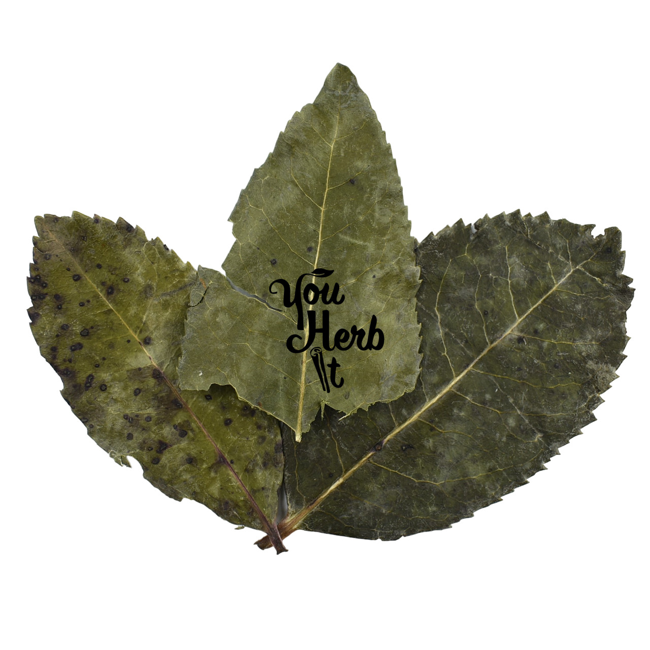 Strawberry Tree Dried Whole Leaves Herbal Tea 25g-200g – Arbutus Unedo