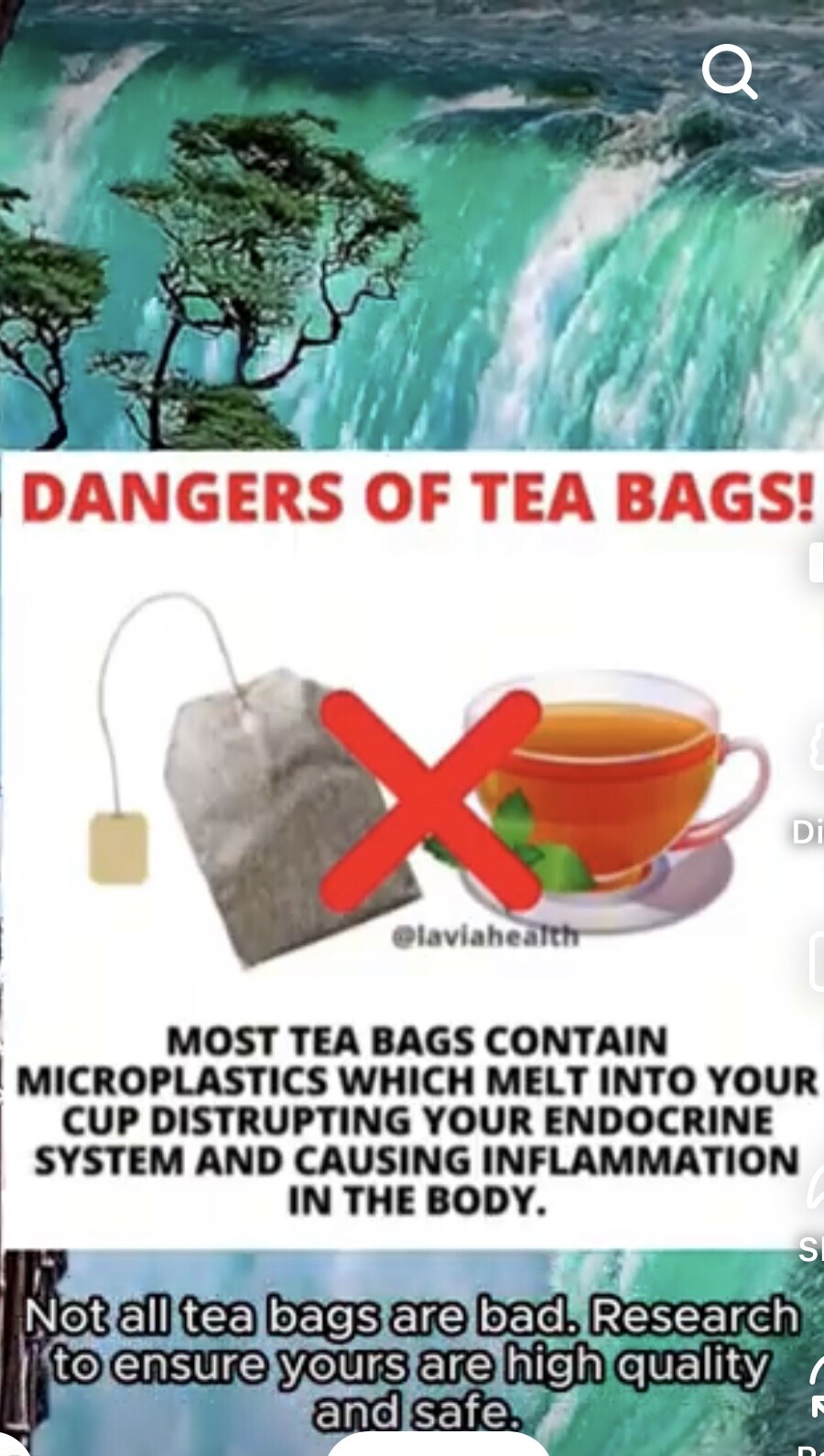 XL Tea Bags, 5”x7” Pitcher Size-No Dyes, Glues Or Plastics- BUY 1, GET 1 FREE!