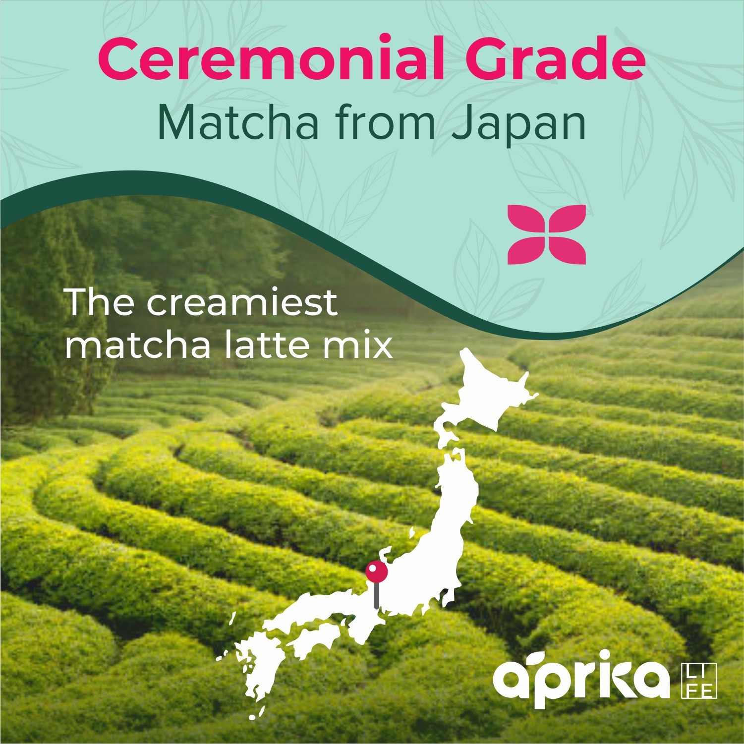 AprikaLife Matcha Latte Mix with Vanilla, Ceremonial, 6.8 oz