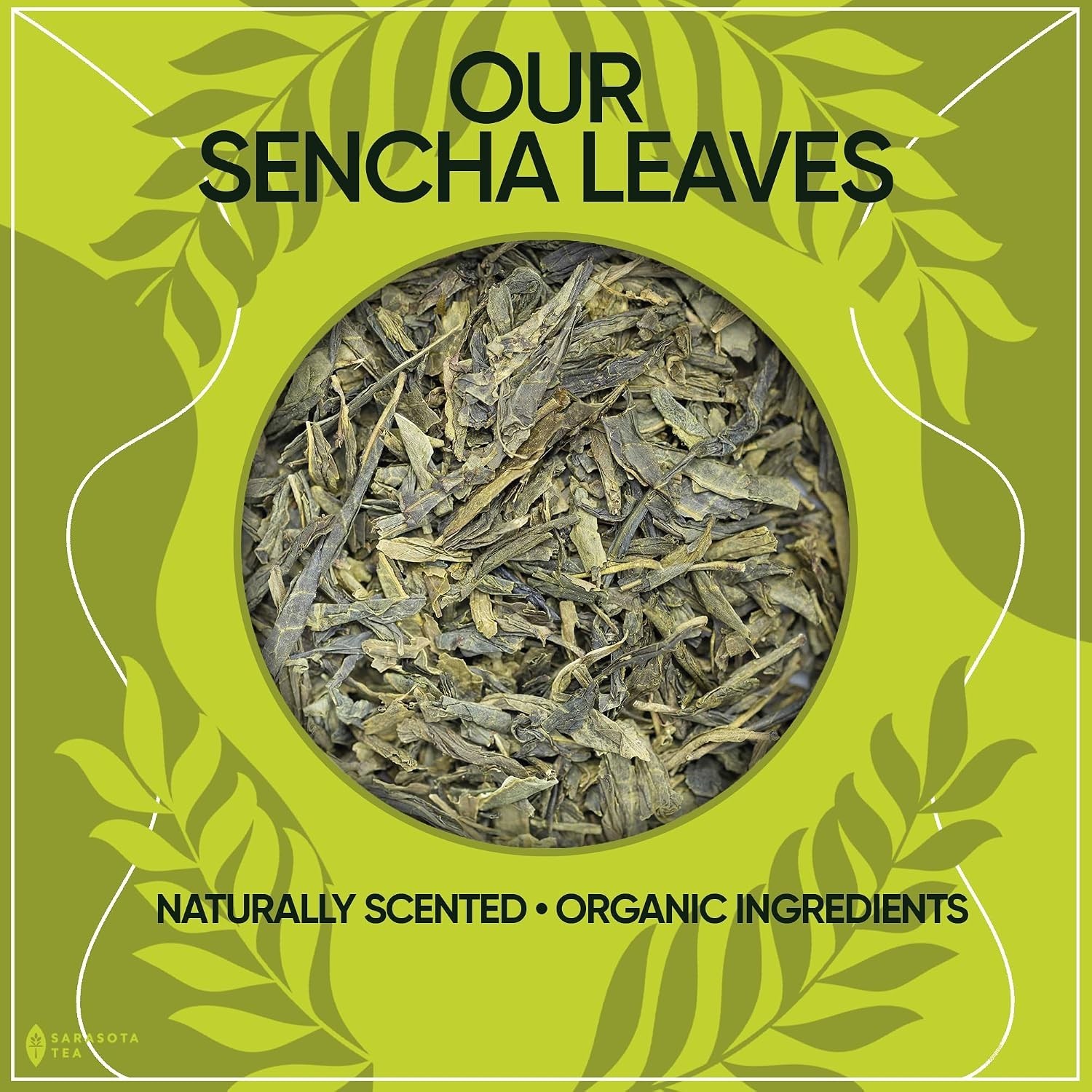 Organic Japanese Sencha Green Tea Loose Leaf | Green Tea from Kagoshima Pref…
