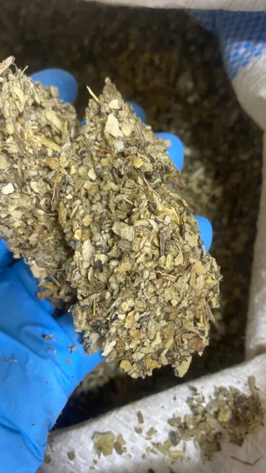 Mullein Leaf – Bulk c/s organic medicinal lung herb – Wholesale – 5 lbs Pounds
