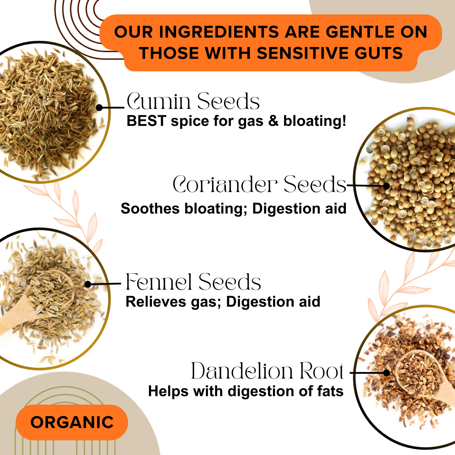 GENTLE DIGESTIVE TEA for those with inflammatory stomach & intestinal conditions