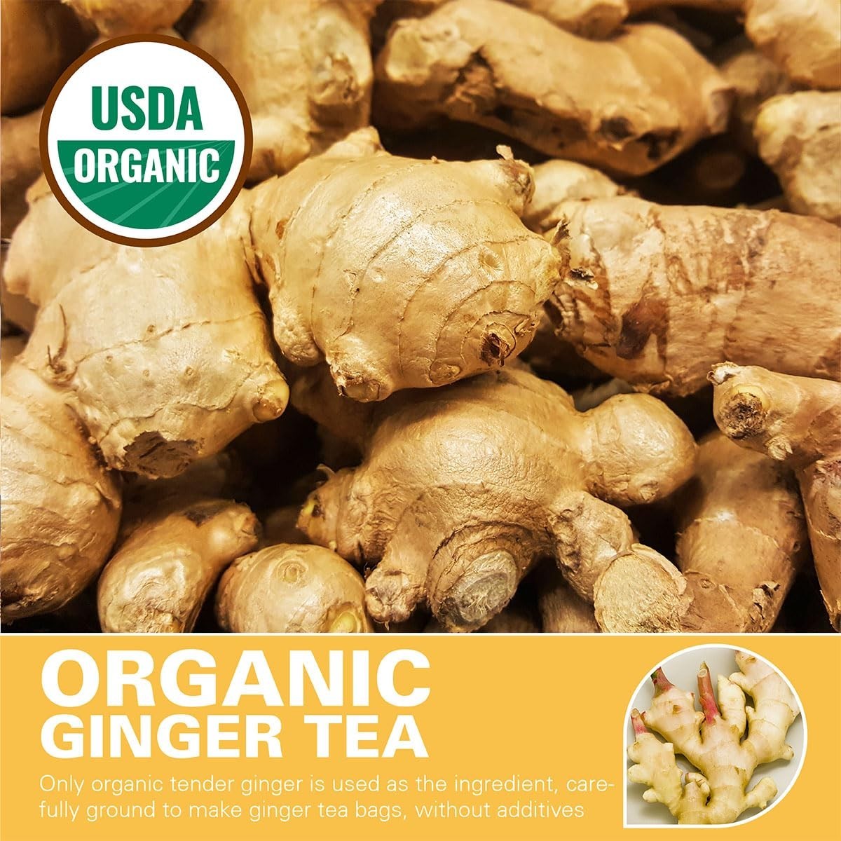 Caffeine Free Ginger Tea, 100 Count Organic Bags for Nutritional Benefits