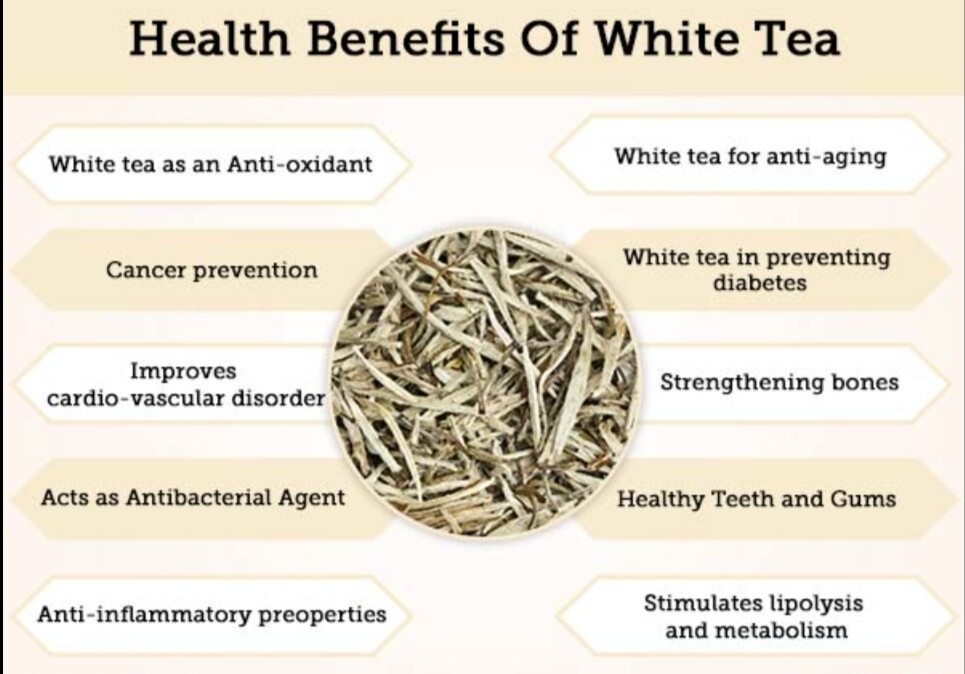 Ceylon of Nature’s silver tip tea Organic leaf loose 100g Original factory fresh