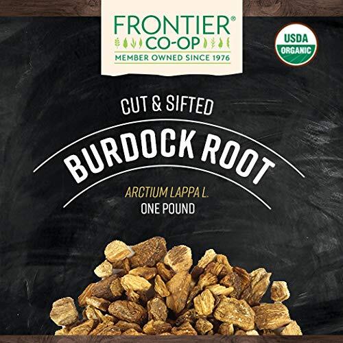 Organic Burdock Root 1-Pound Bulk Bag Common in Root Beer Recipes Cut