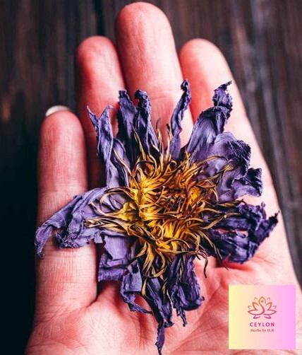 Dried Blue Lotus Flowers Organic Healthy Tea 300g