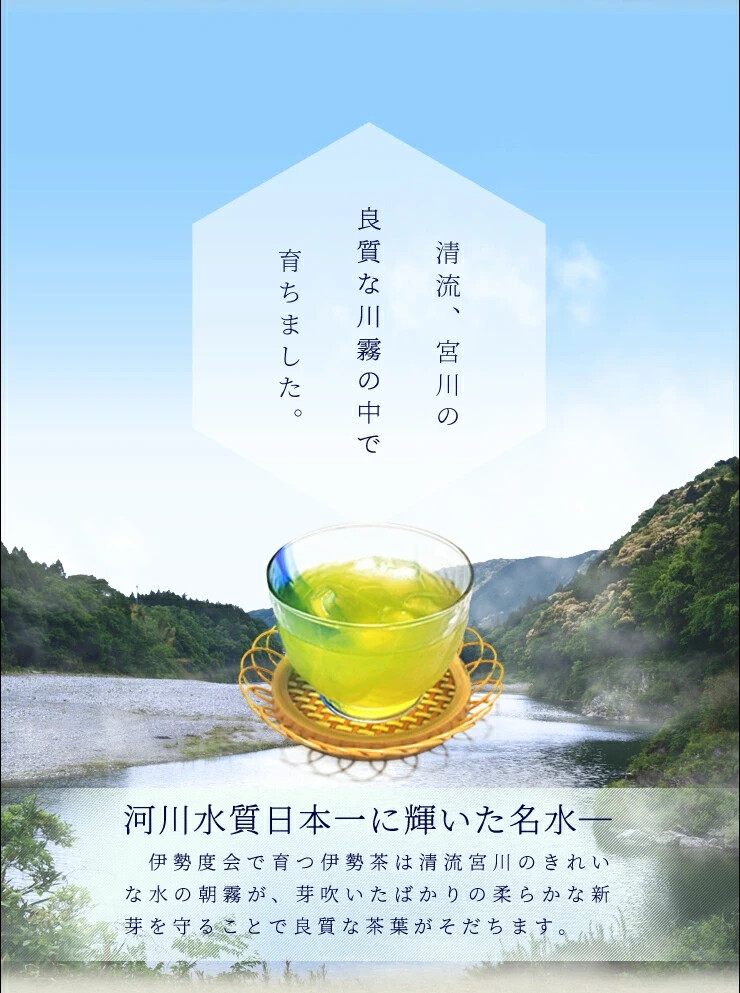 Ise tea Sencha tea bags 30 bags (15 bags x 2) Tea Pesticide-free Japanese tea Ma