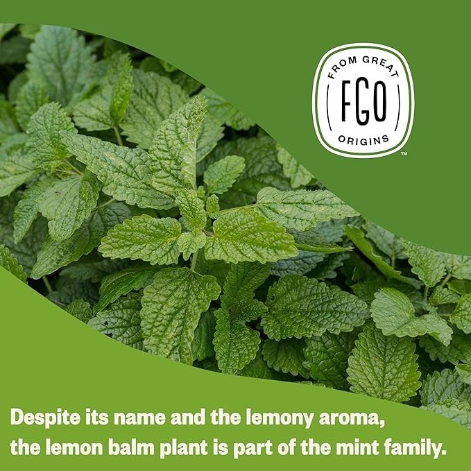 FGO Organic Lemon Balm Tea Bags – 100 Count, Eco-Friendly-5 Layer Resealable Bag