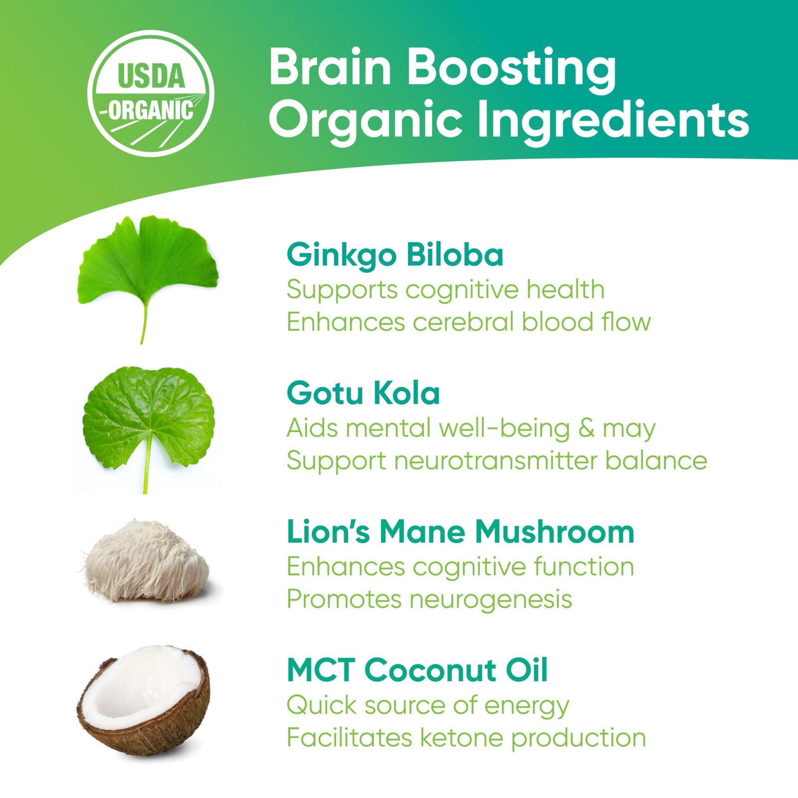 Focus & Memory – Organic Memory Tea Brain Booster, Ginkgo Biloba Tea, Gotu Ko…