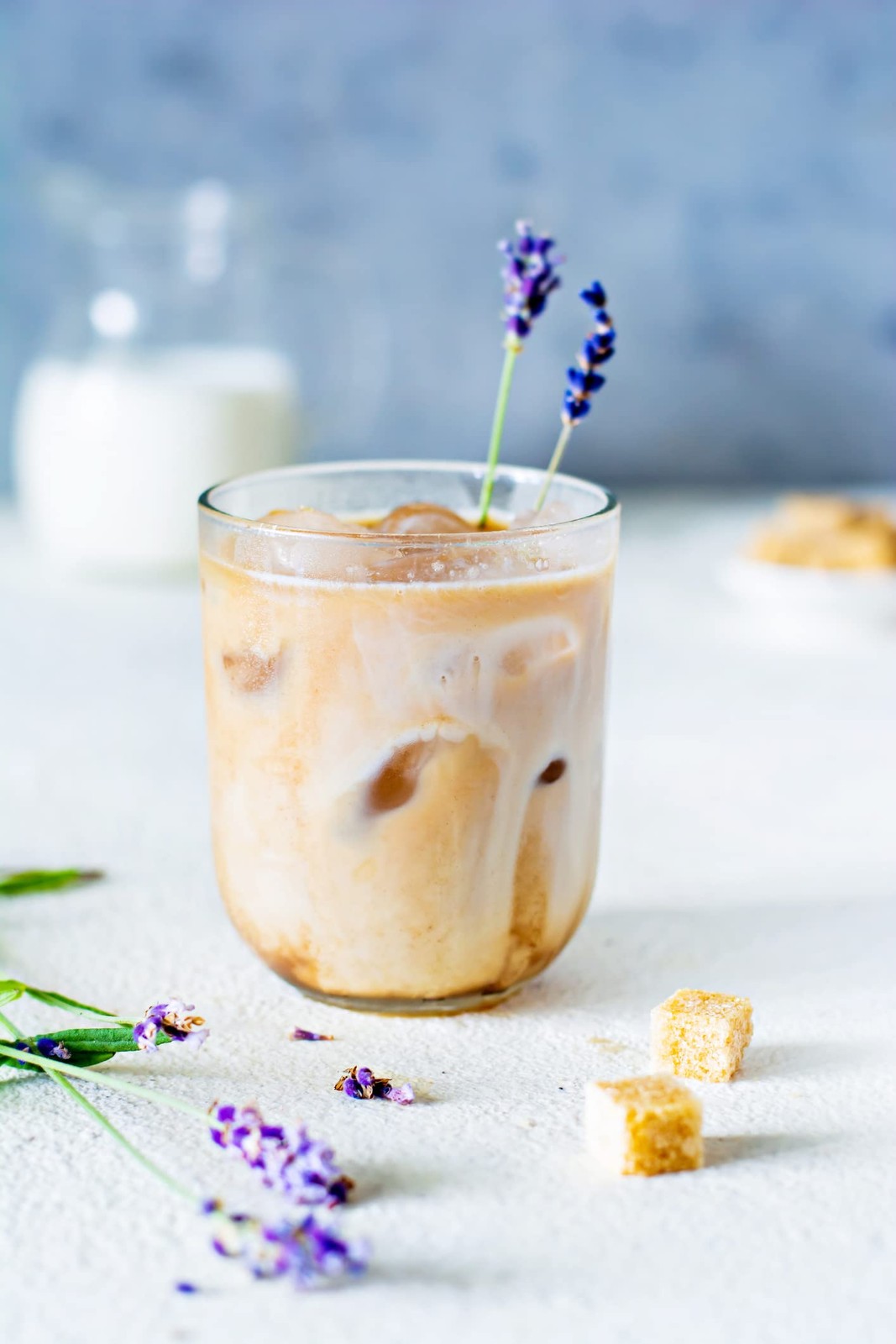 GINO Lavender Milk Tea, Lavender Tea – Lavender Milk Tea Powder 14 Oz (400 g)…