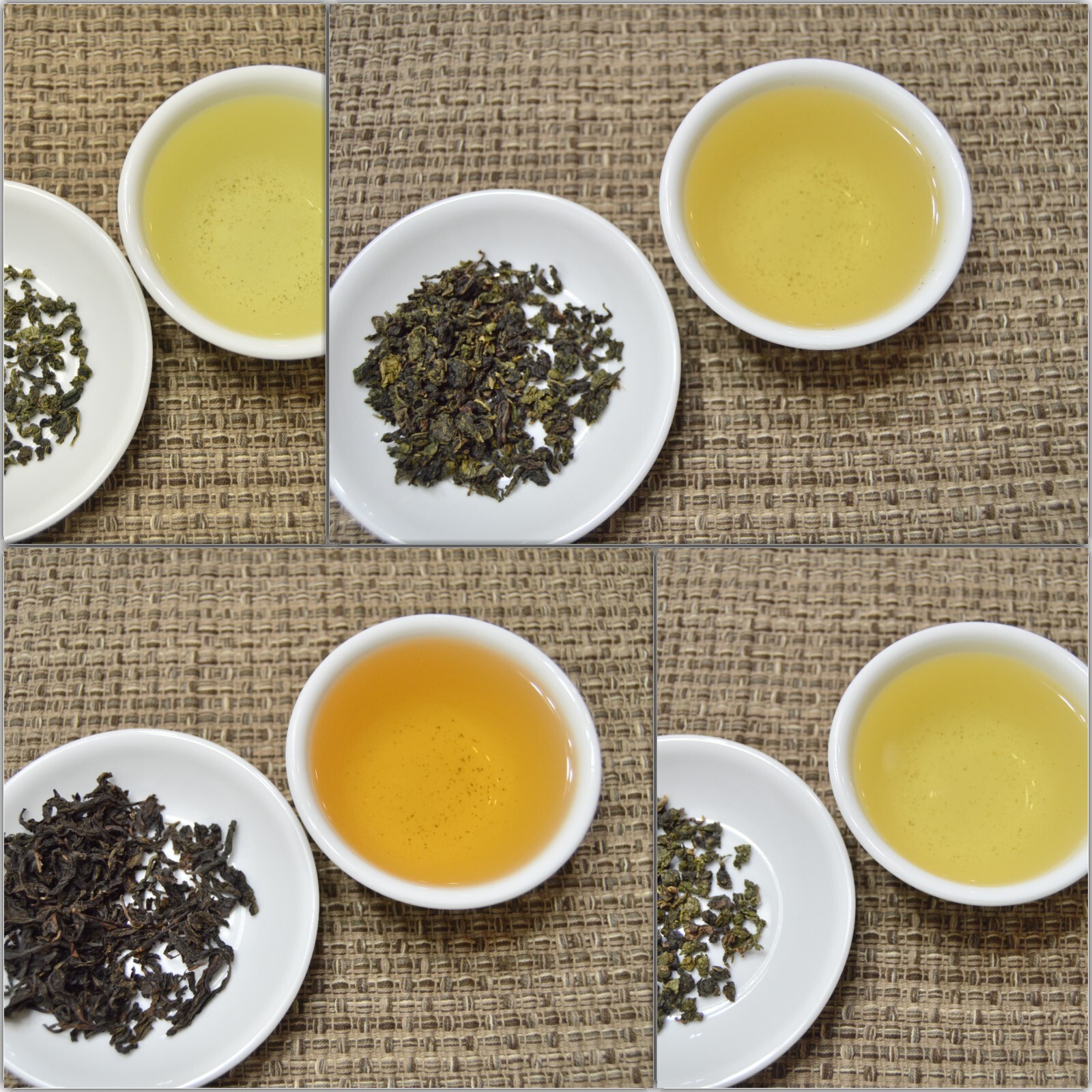 Dragon Tea – Oolong Tea Sample – 4 Pieces
