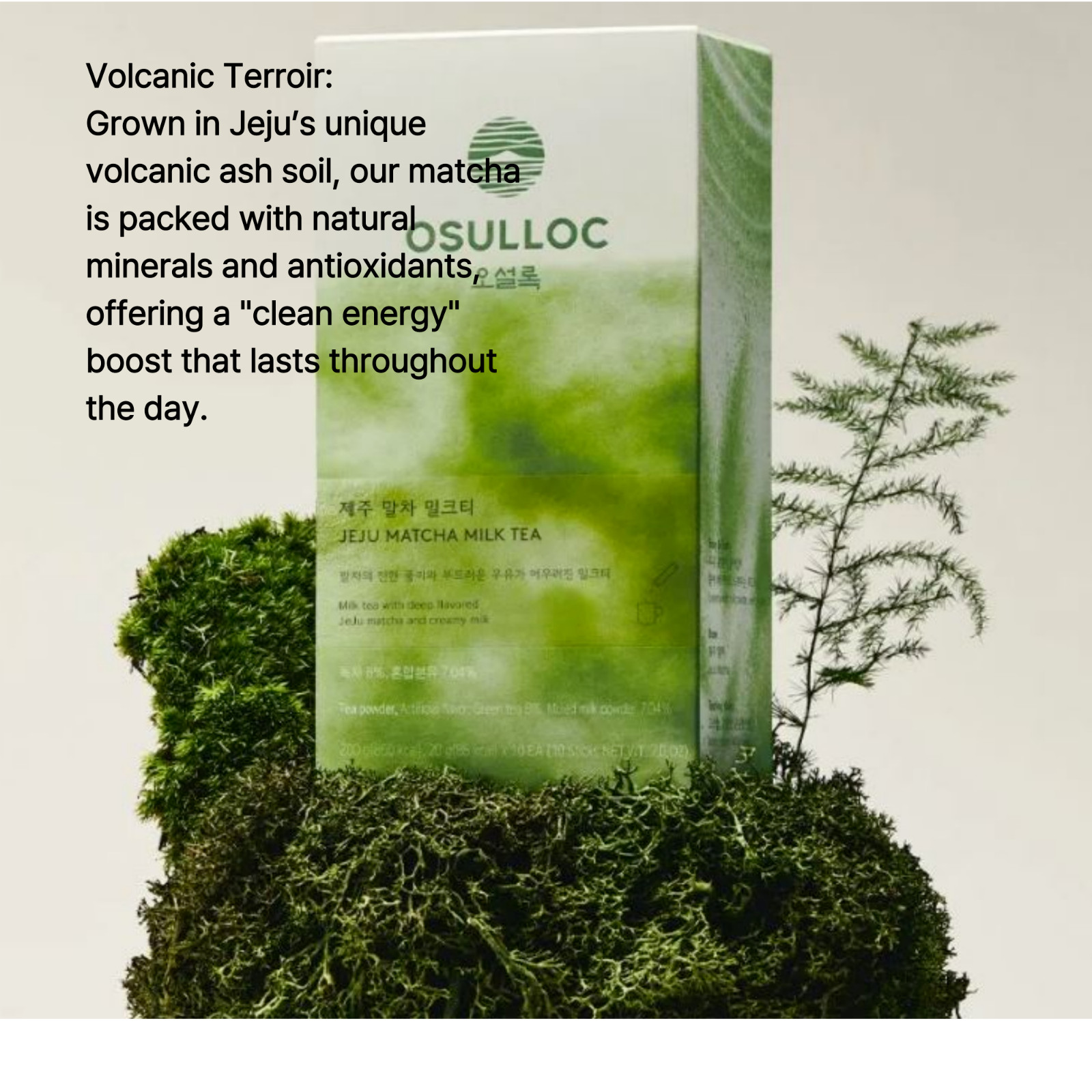 OSULLOC Jeju Matcha Milk Tea Premium Korean Latte 10 Sticks K-Food