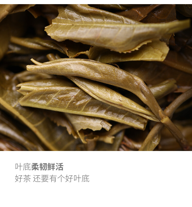 Haiwan Remote Mountain Old Tree Puer Tea Cake 2019 500g Raw Pu-erh Pu’er 191
