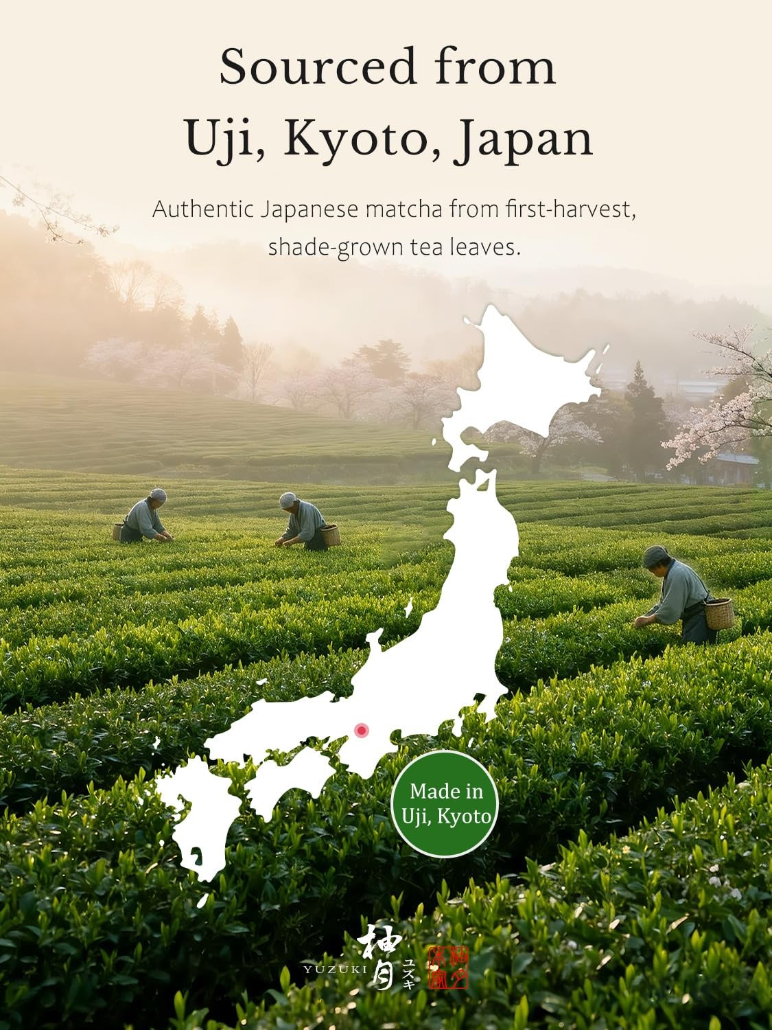 YUZUKI Matcha Powder 40g Japanese Ceremonial Grade Matcha Green Tea Powder …