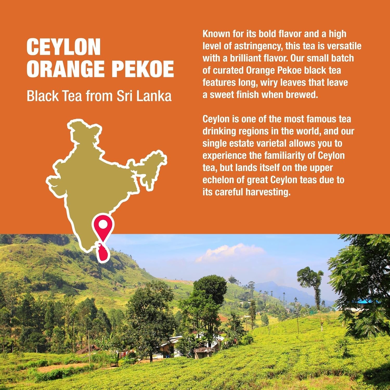 High-Quality Ceylon Black Tea – Single Origin Loose Leaf