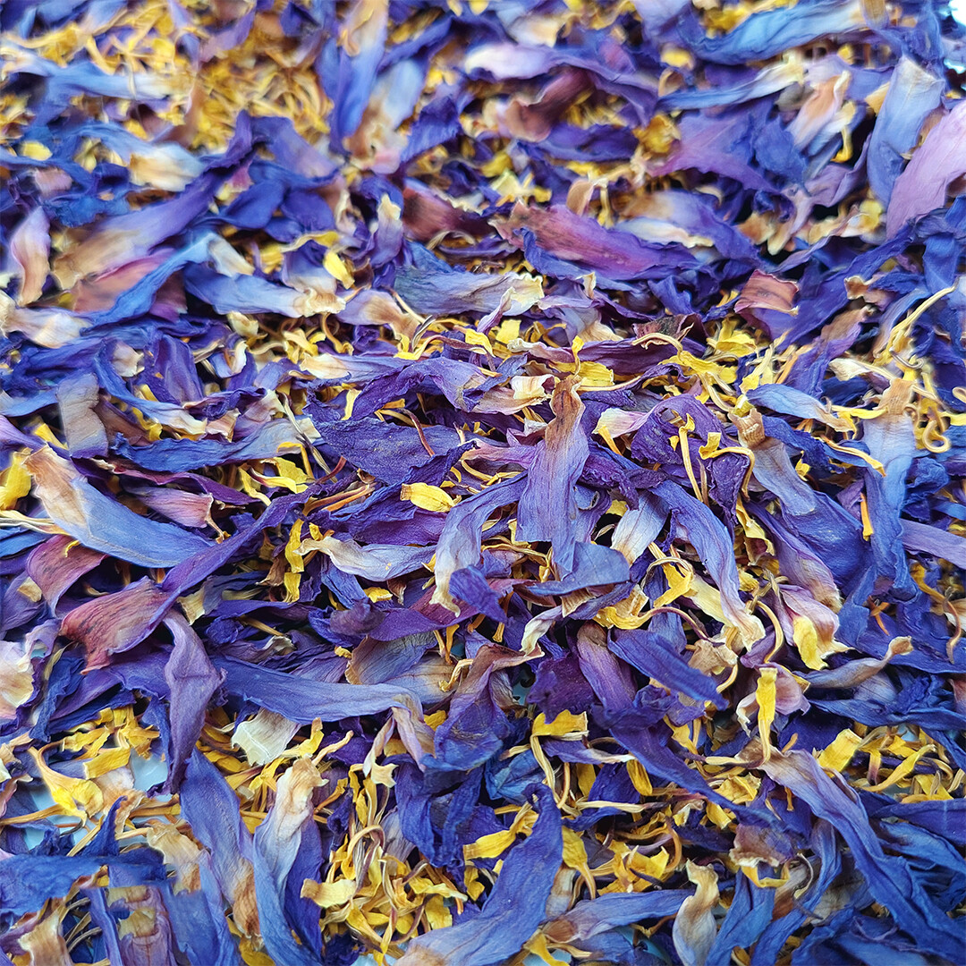 Blue Lotus Cut Flower Nymphaea Caerulea Organic Natural Herbal Tea From Ceylon