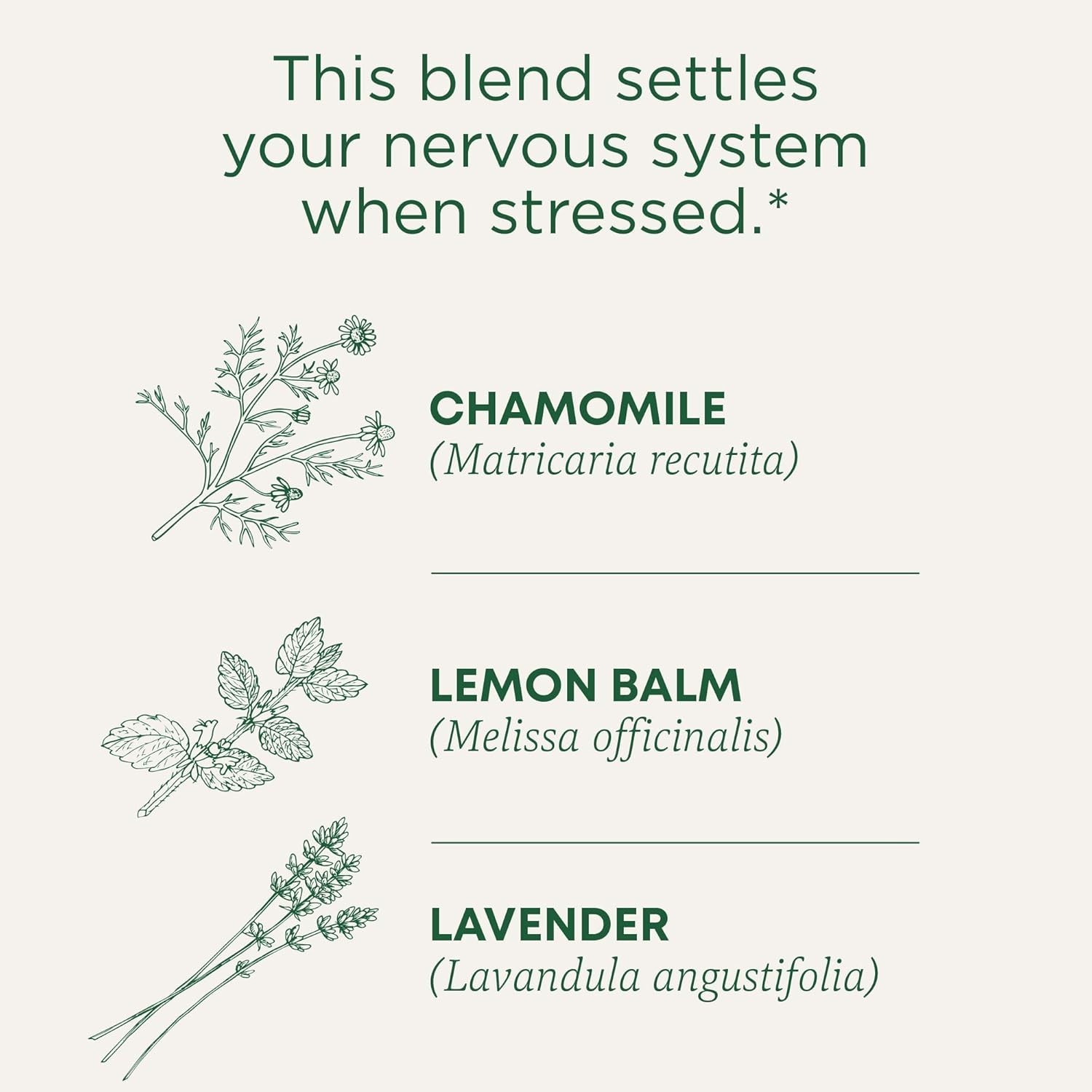 Stress Relief Organic Chamomile & Lavender Herbal Tea – 16 Compostable Bags