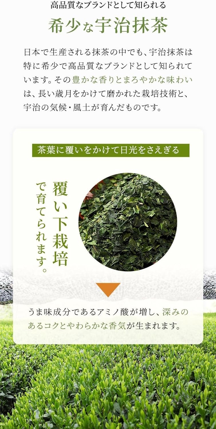Kyoto Uji Matcha Cappuccino Foam Powder 12g x 18 sticks Ito Kyuemon from Japan