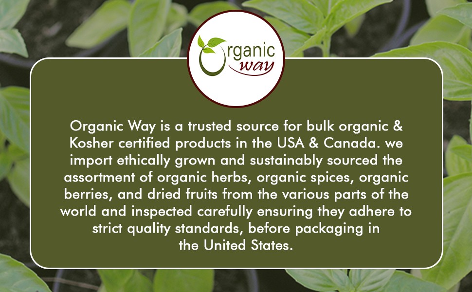 Nettle Leaf Powder (Urtica dioica) – Herbal Tea | European Wild-Harvest |