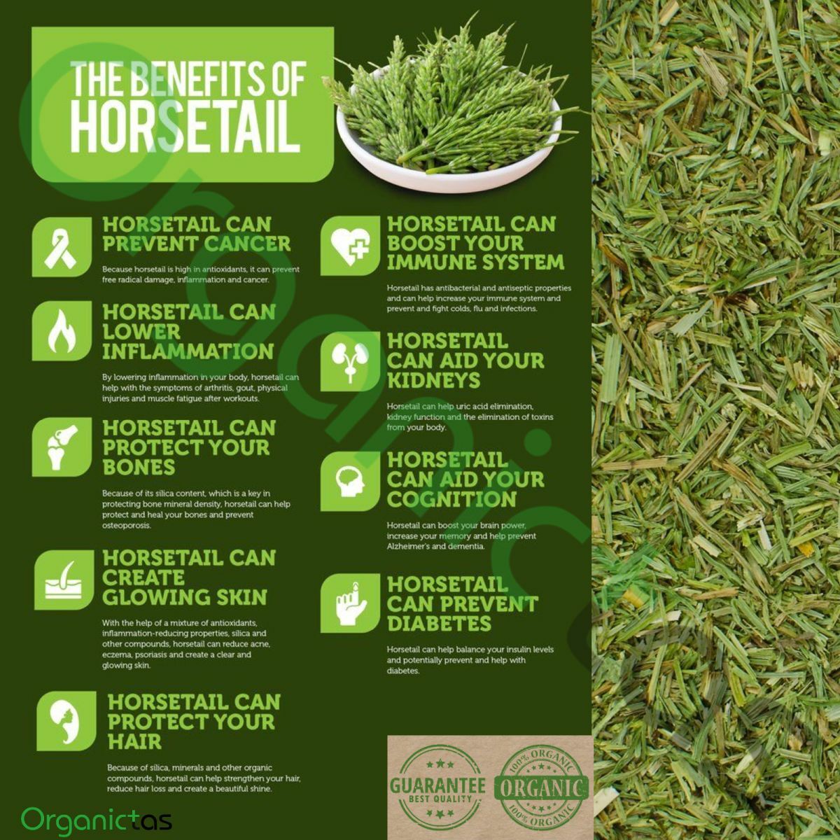 Organic Horsetail Herb Herbal Tea Dried Cut Equisetum Arvense 100g/3.53oz. Bio