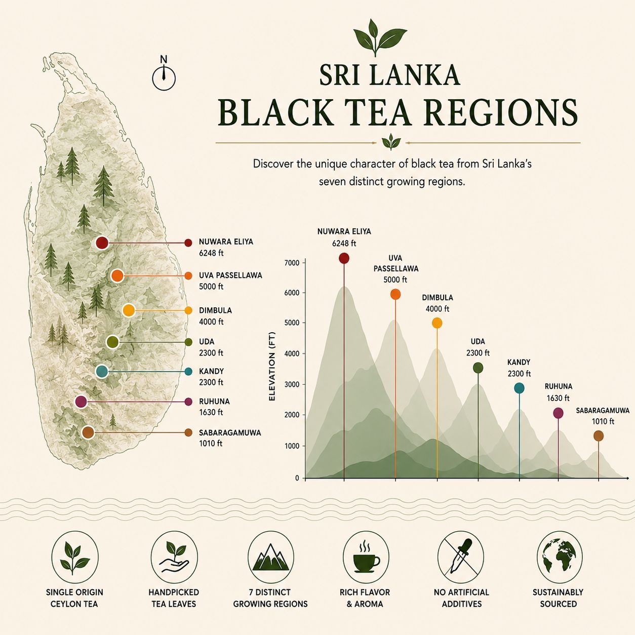 Nuwara Eliya Ceylon Black Tea | Premium High Grown Loose Leaf Tea | Sri Lanka