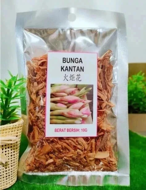 Bunga Kantan Torch Flower 10g