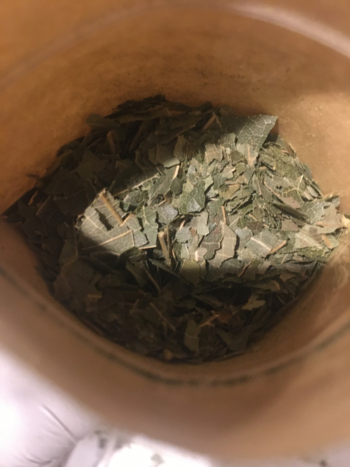 Mango Leaf & Avocado Leaf Herbal Tea 100% Organic Florida Grown USA