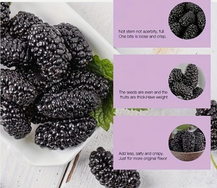 President Dried Black Mulberries 10oz Fruit Tea Sun-dried Mulberries Snack Vegan