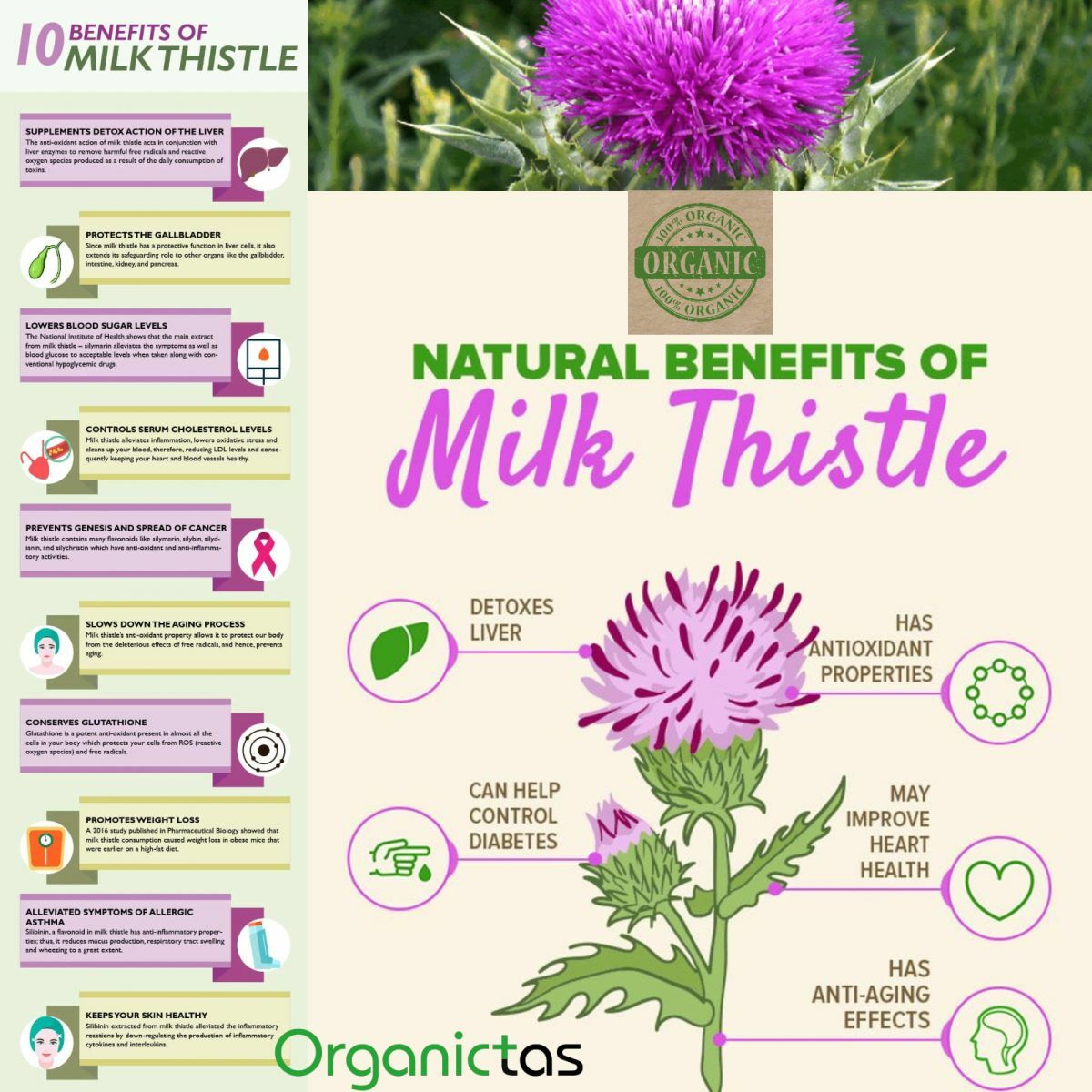 Milk Thistle Seed Powder for Tea Making or Culinary Use Organic Premium Quality