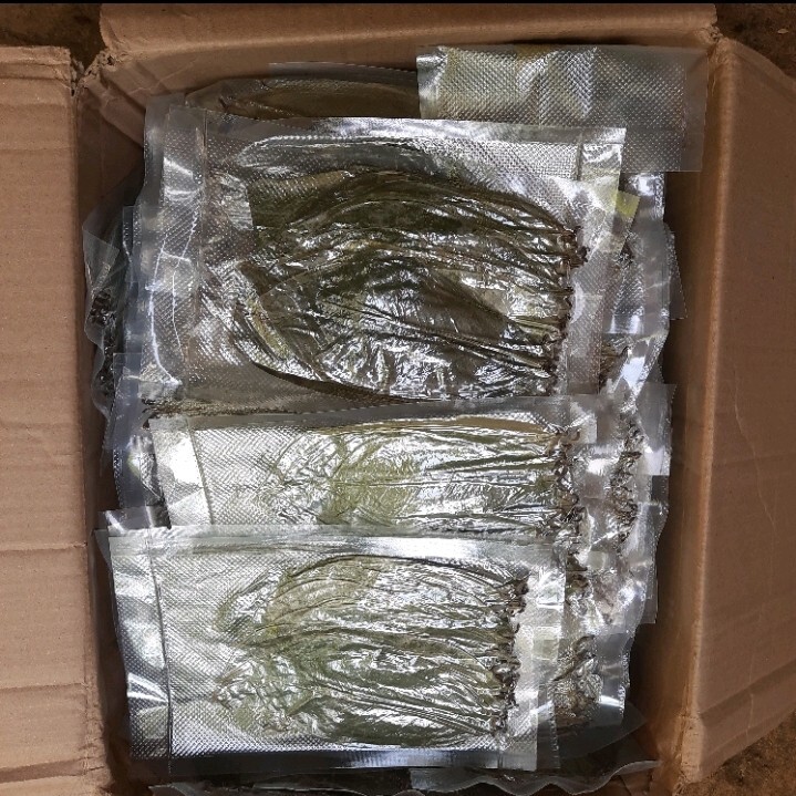 400+ Dried Soursop Leaves Annona HOJAS DE GUANABANA GRAVIOLA Quality Herbal Tea