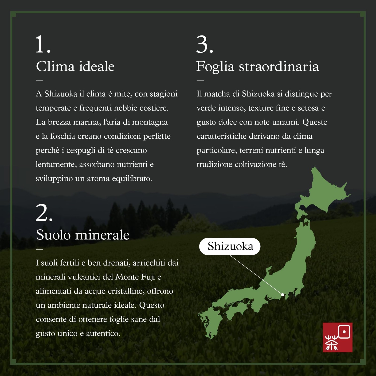 Ocha & Co. Itsumo Matcha – Classic Grade – Japanese First-Harvest Matcha Gree…