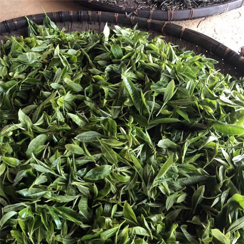 Pu-Erh Tea Organic Menghai Spring Raw Green Tea Healthy Drink 357g Cake