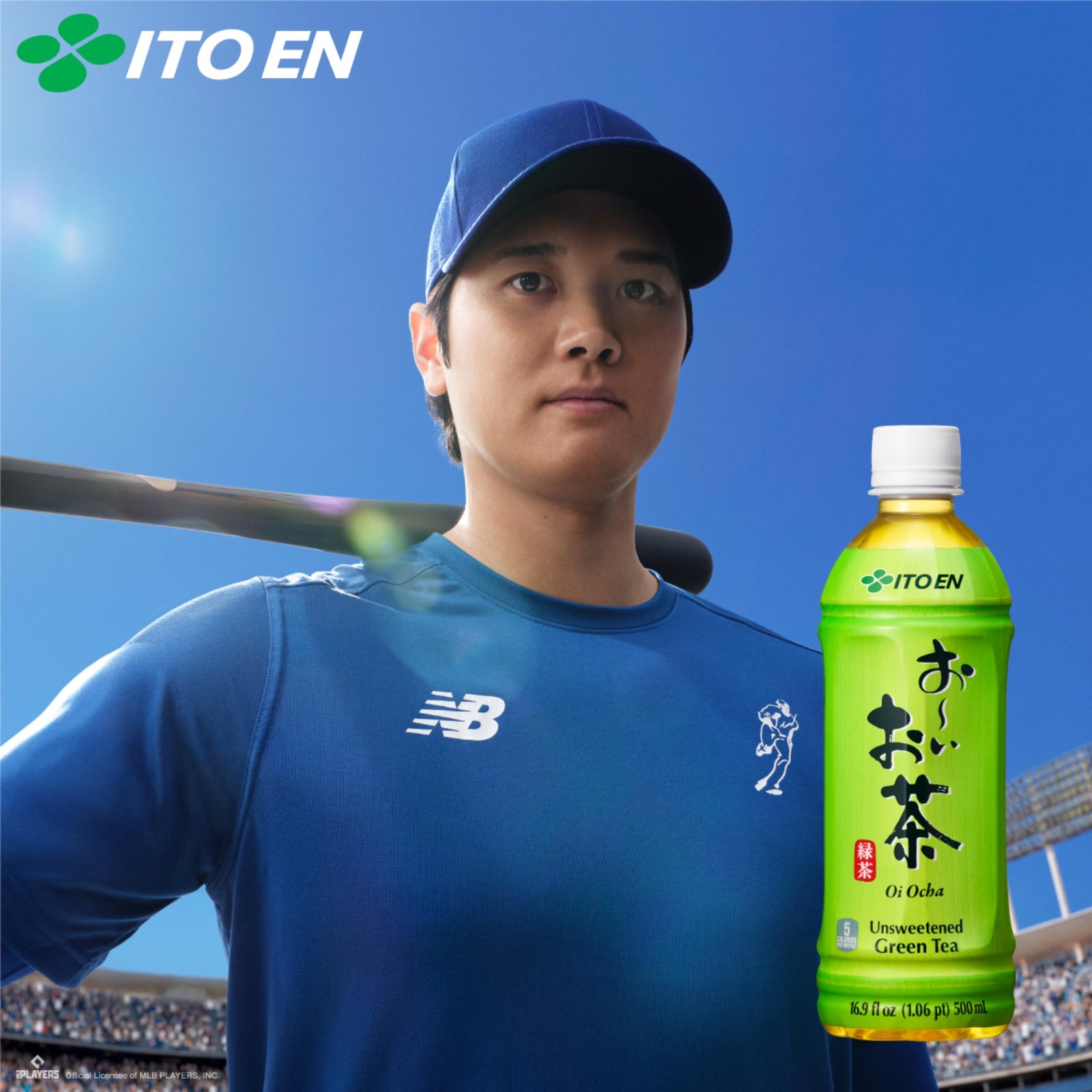 Ito En Tea Oi Ocha Green Tea, Unsweetened, 16.9 Ounce (Pack of 12),