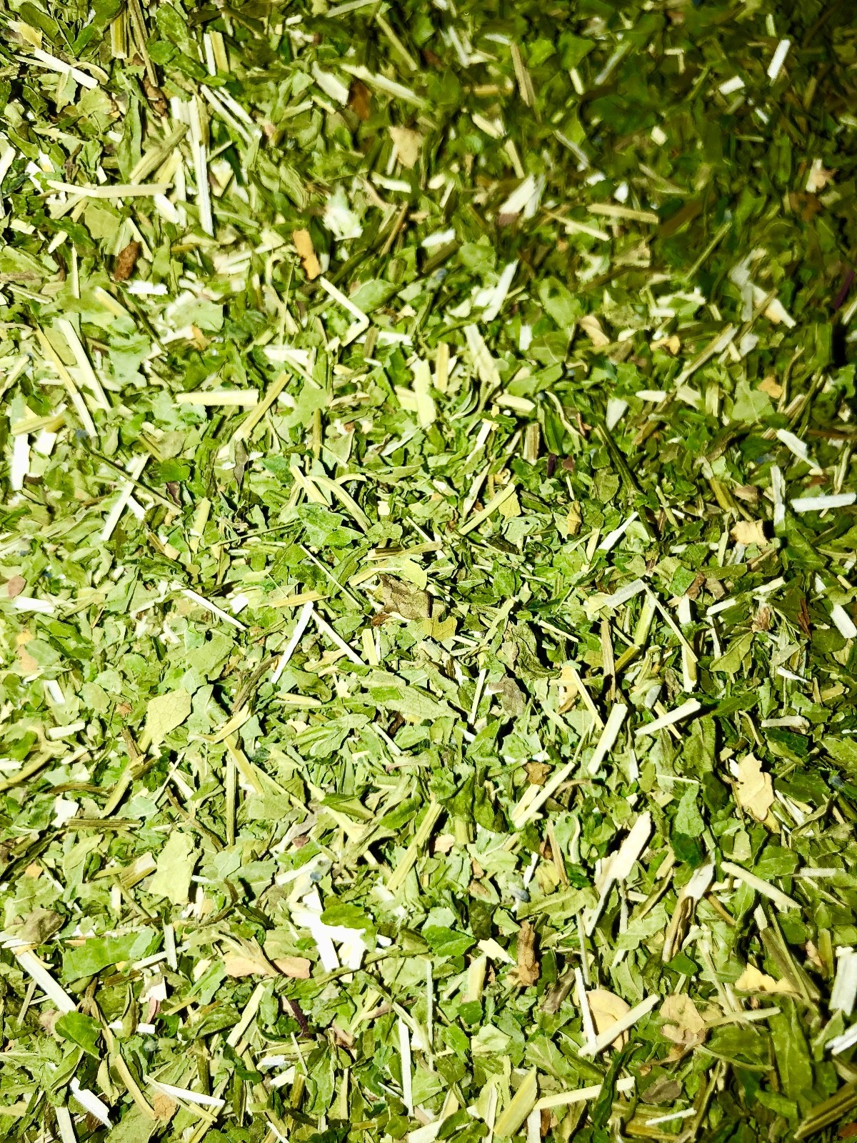 CO Skullcap Certified Organic Herb Leaf Mad Dog Weed Spice Discounters