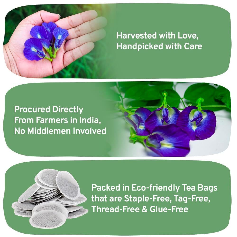 Butterfly Pea Flower Tea (100 Herbal Tea Bags) | Caffeine Free, Non GMO |