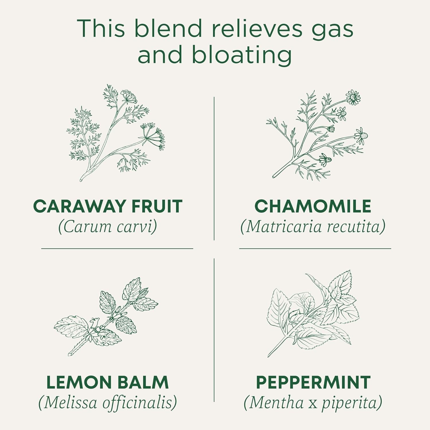 Traditional Medicinals Tea, Organic Gas Relief, Relieves Gas & Bloating, Chamomi