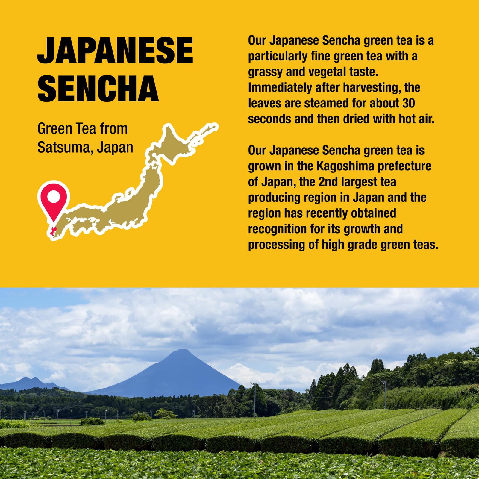 Tiesta Tea Japanese Sencha Tea, Loose Leaf, Single Origin Premium Sencha Gre…