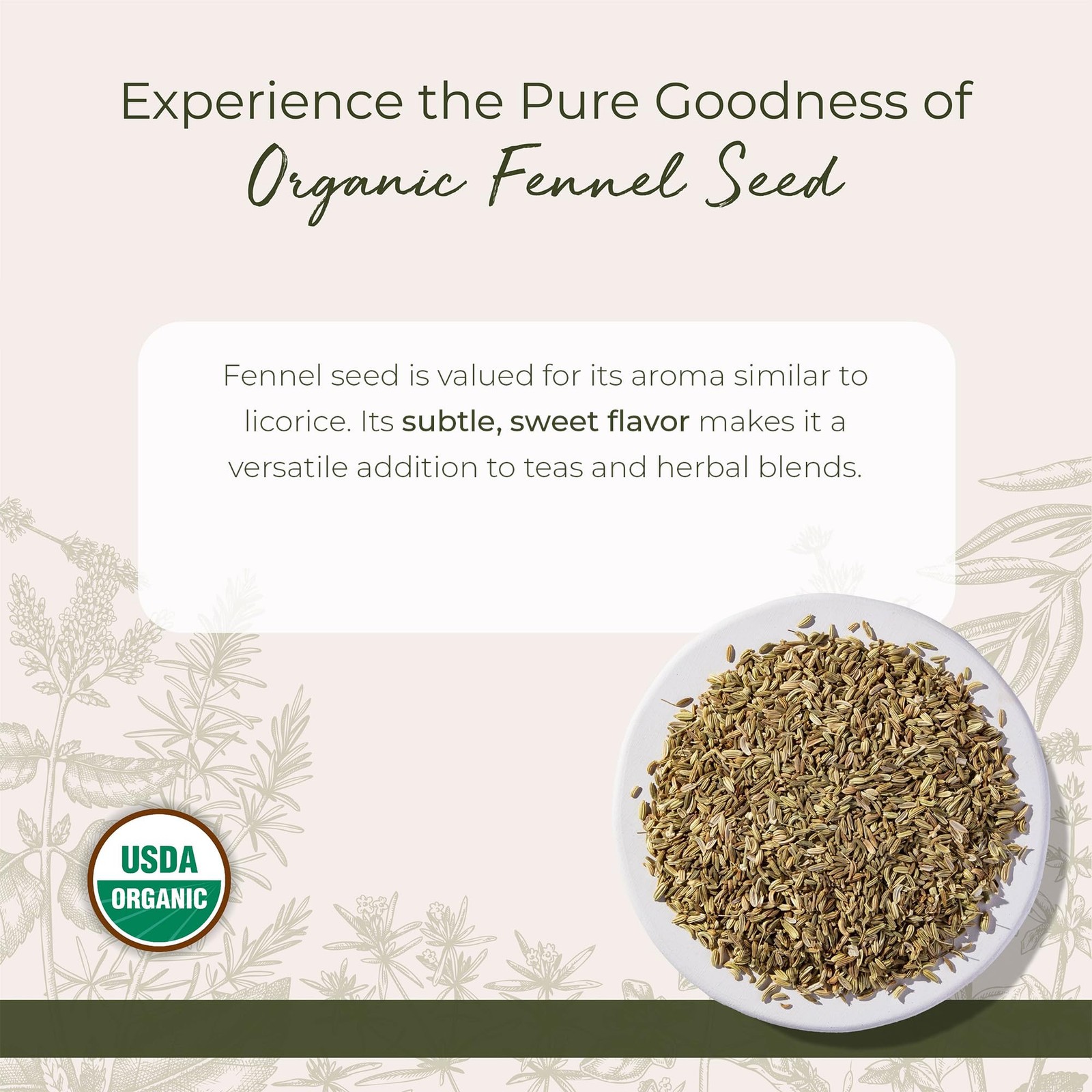 Starwest Botanicals Organic Fennel Seed – Dried 1 Pound (Pack of 1), Tan