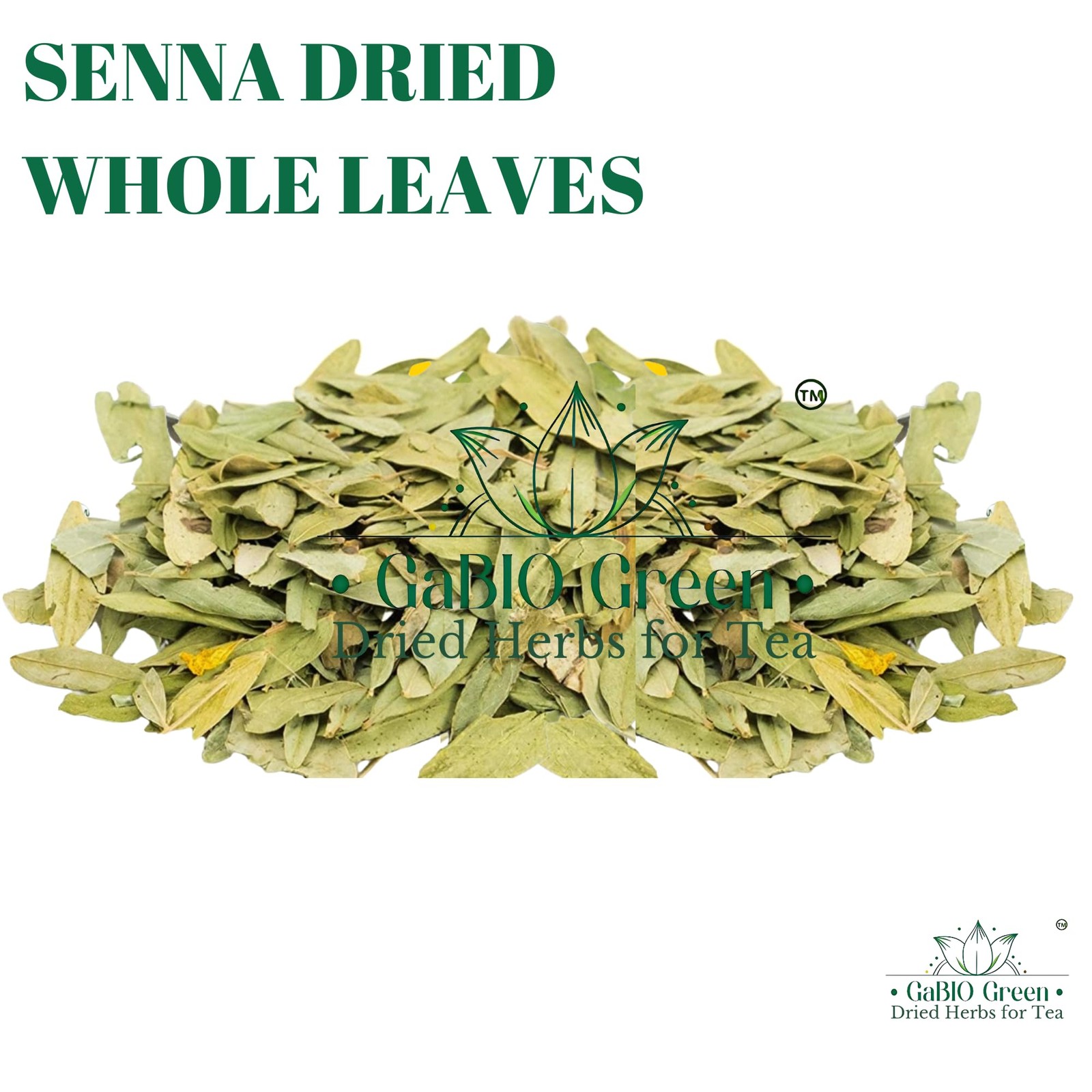 Natural Senna Leaves Hoja Sen Dried Herbal Leaves, Senna Raw Leaf, Hoja Sen C…