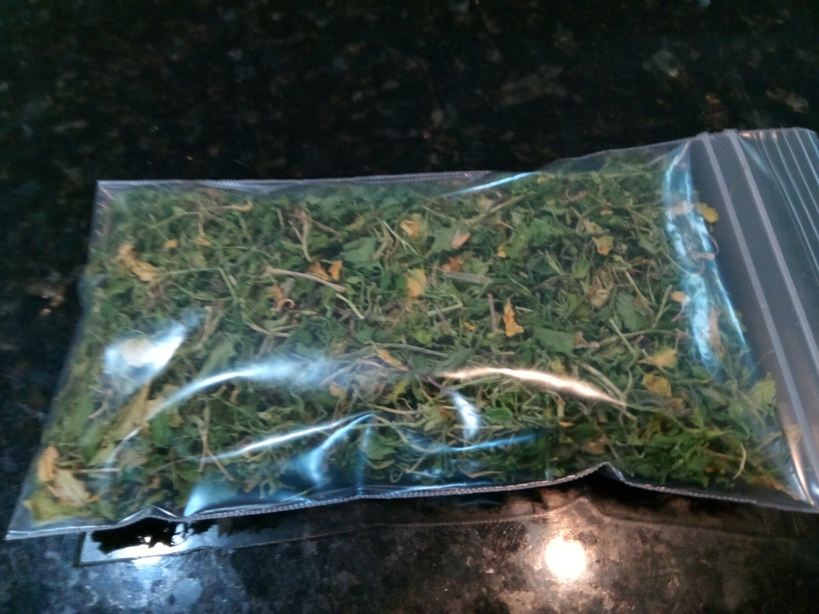 1 Cup Dried Common Chickweed For Tea or Salva.US grown.