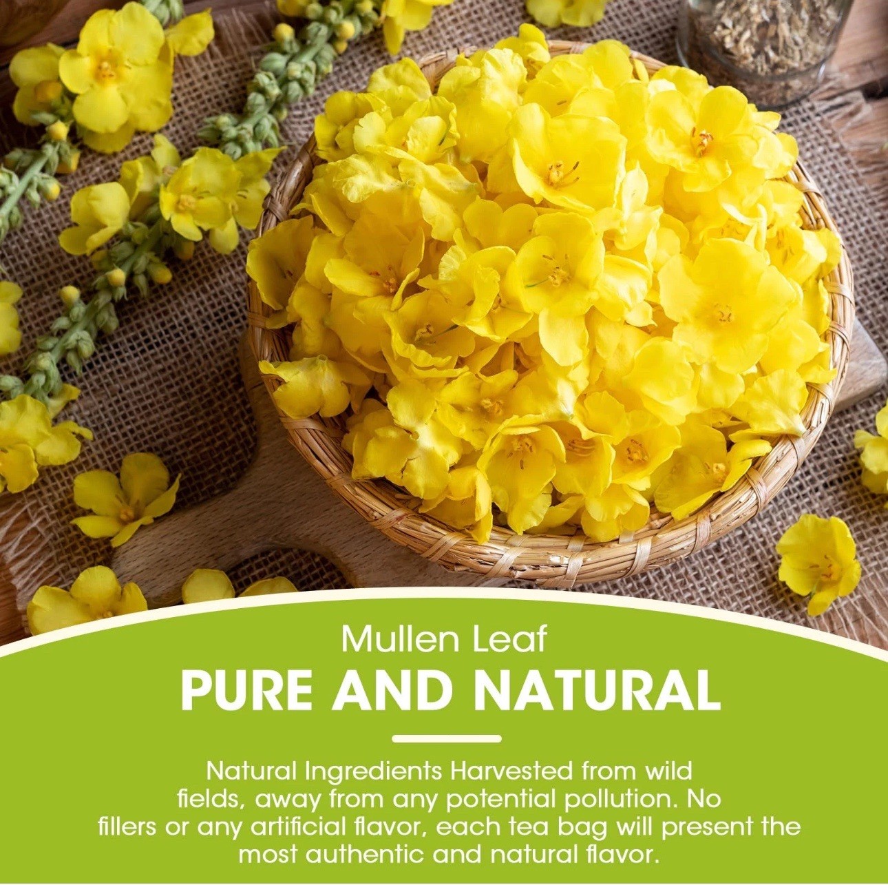 Mullein Leaf Tea Bags for Lung Cleanse, Respiratory Support and Mucus Allergies
