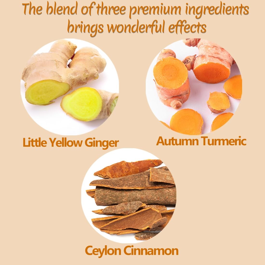 120 Premium Turmeric, Ginger, Cinnamon Blend Tea Bags, 120 Count (Pack of 1)