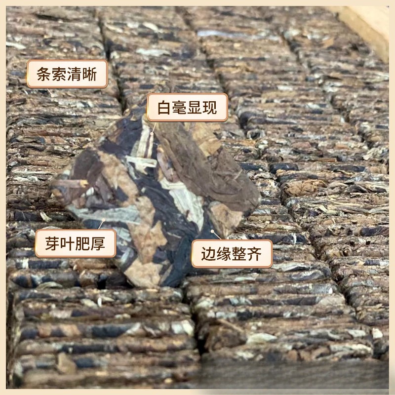 200g Authentic Yunnan Treasured 2024 Chen Xiang Old White Tea Canned Tea