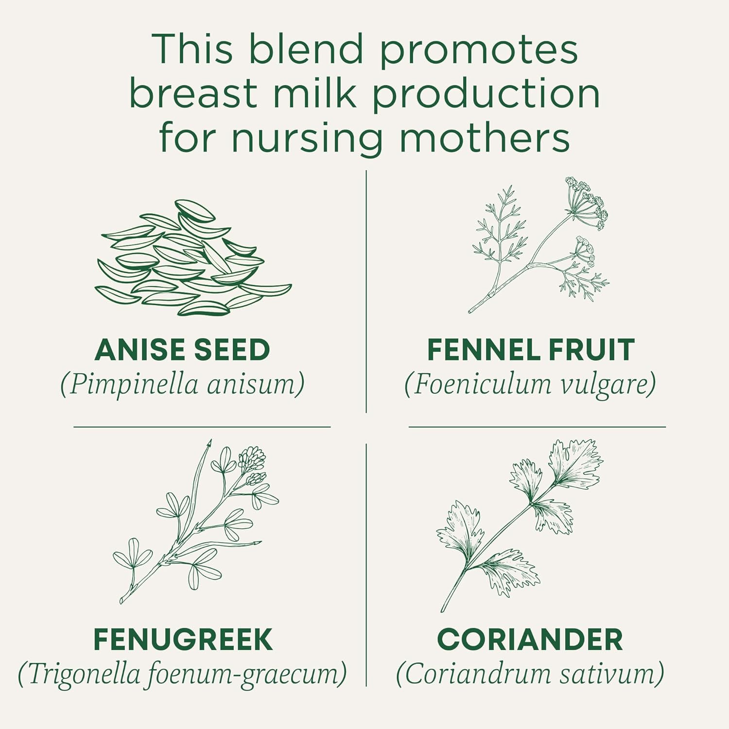 Organic Mother’S Milk Women’S Tea 32 Count (Pack of 1)