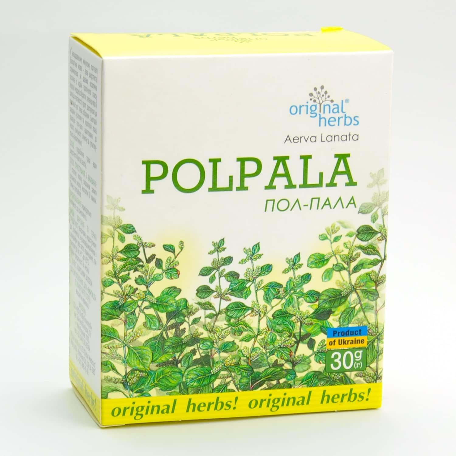 POLPALA TEA, (AERVA LANATA) – 100% Pure & Natural, Wild-Crafted, Loose Leaf Moun