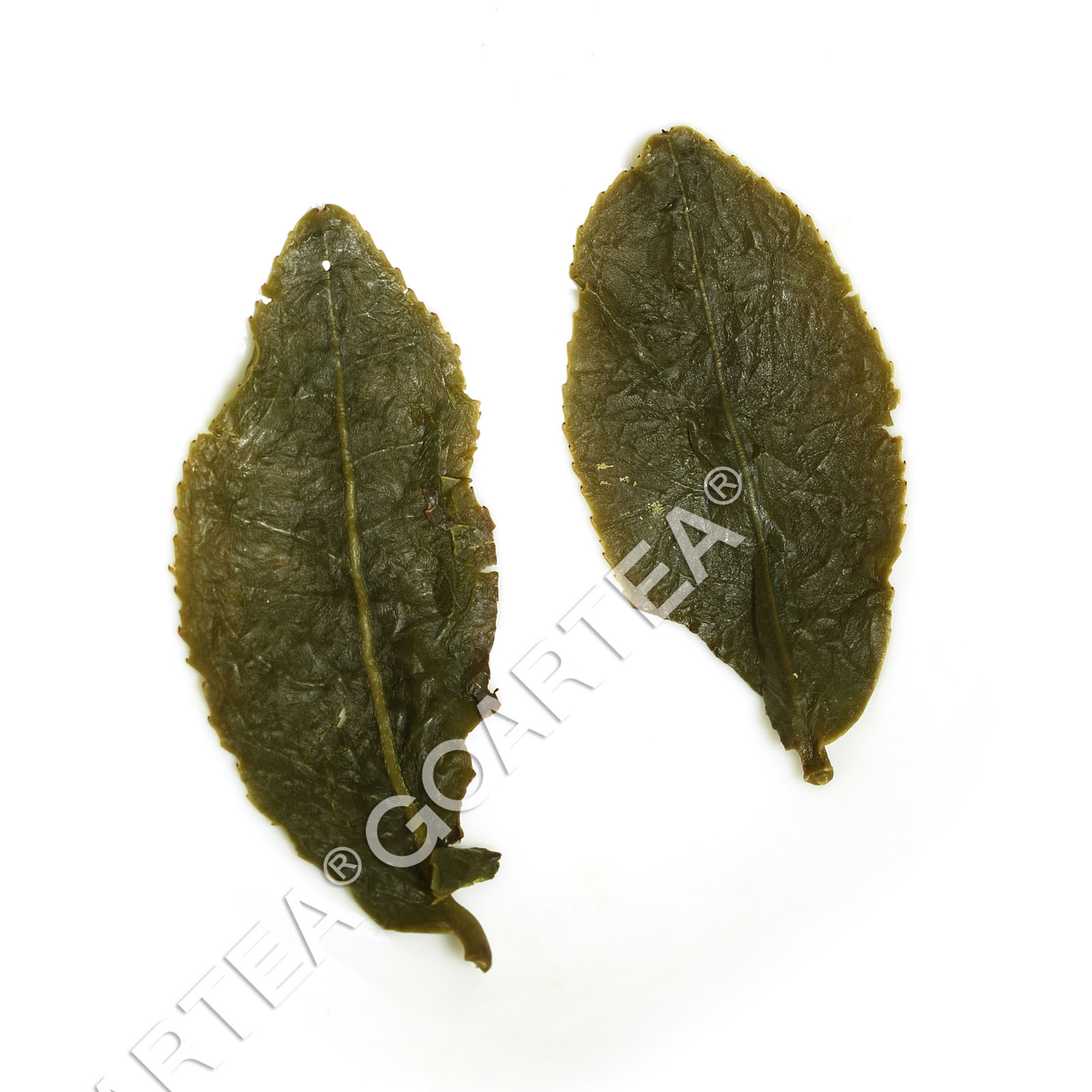 GOARTEA Supreme Taiwan Strong Aroma Dongding Oolong Tea High Mount. Tung-ting
