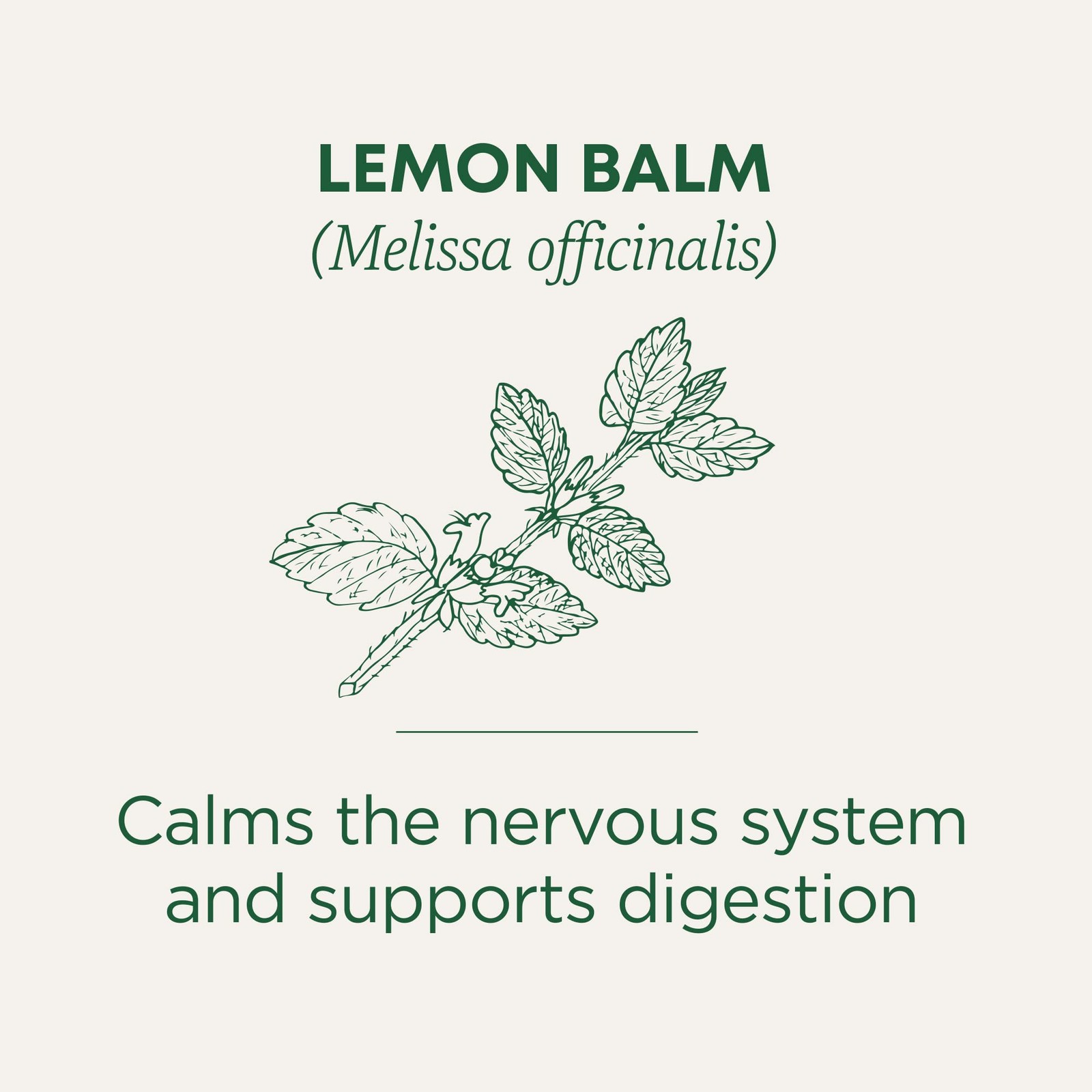 Traditional Medicinals Organic, Lemon Balm – 16 Count (Pack of 1), Green