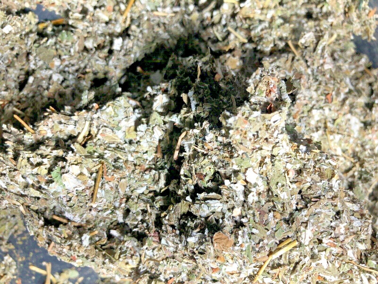 Raspberry Herb Leaf 100% Natural All Organic from Mother Nature! (2 ounce size)