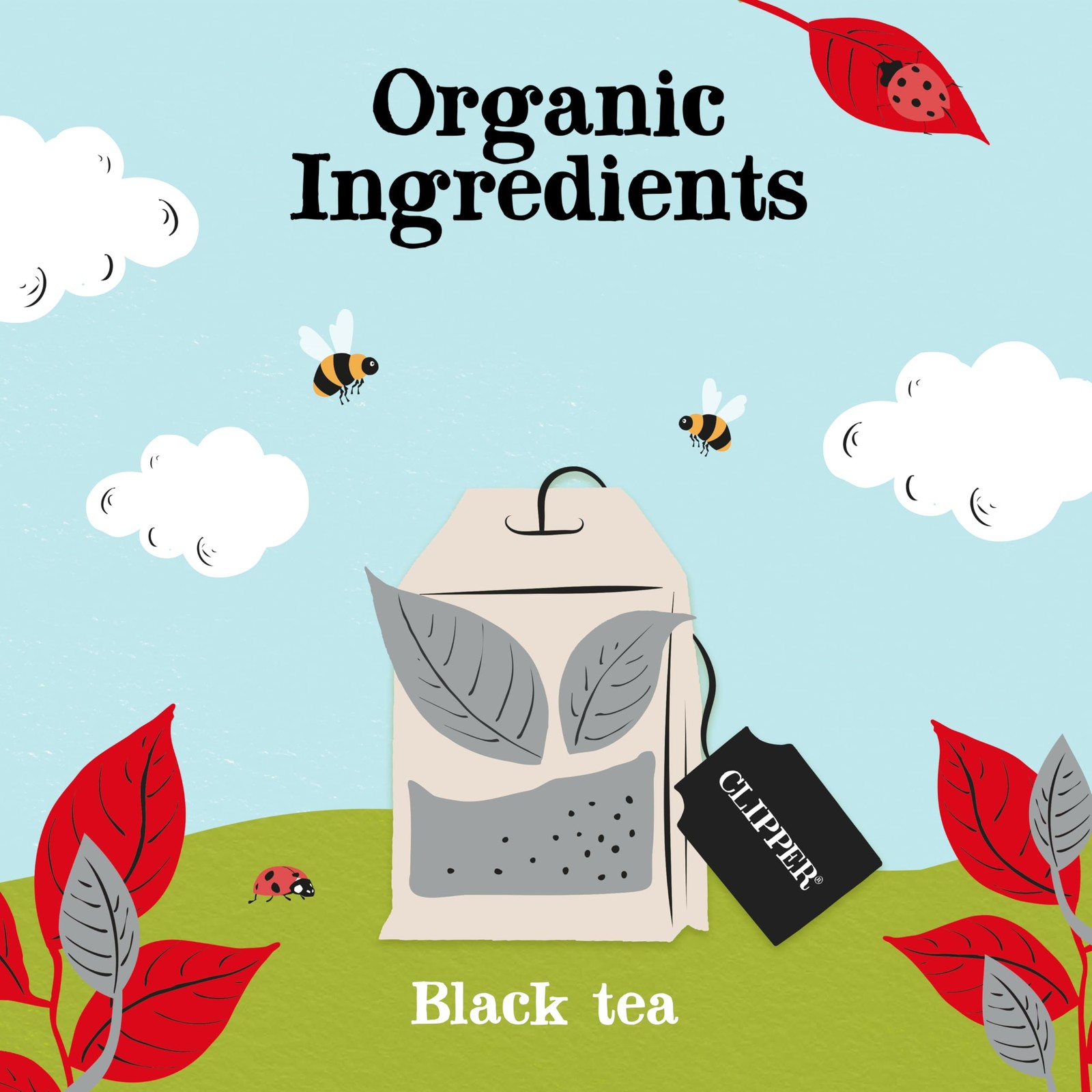 , English Breakfast Assam Blend, Fairtrade, Organic, Plant-Based, Caffeinated…